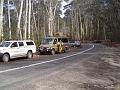 1a bush trail 0811